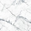 Invisible White